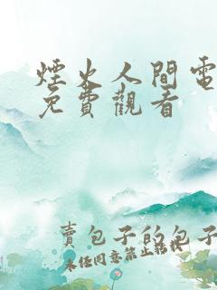 烟火人间电视剧免费观看