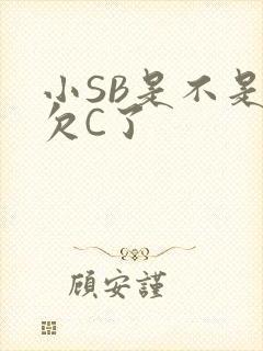 小SB是不是又欠C了