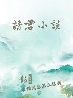 请君小说