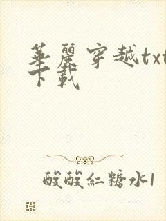 华丽穿越txt下载