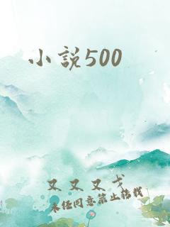 小说500