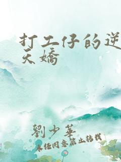 打工仔的逆袭楚天娇
