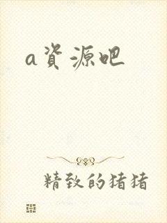 a资源吧