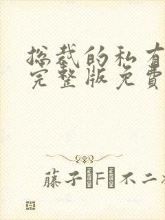 总裁的私有宝贝完整版免费阅读