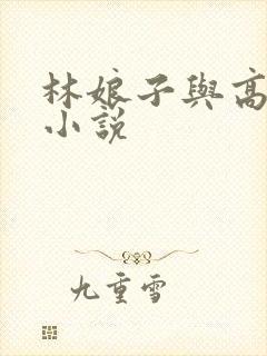 林娘子与高衙内小说