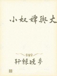 小奴婢与大少爷