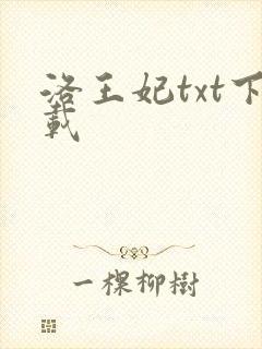 洛王妃txt下载