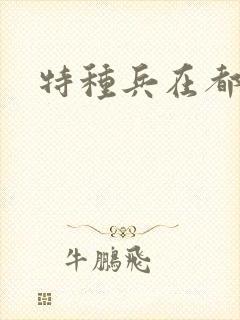 特种兵在都市
