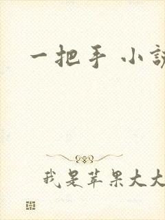 一把手 小说