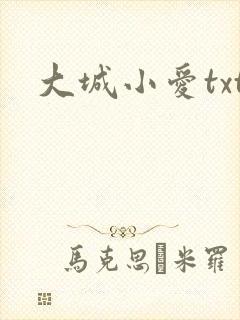 大城小爱txt