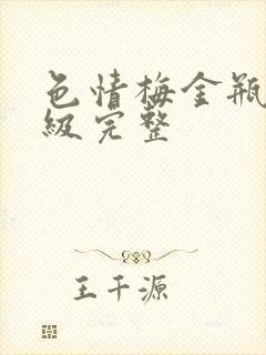 色情梅金瓶2三级完整