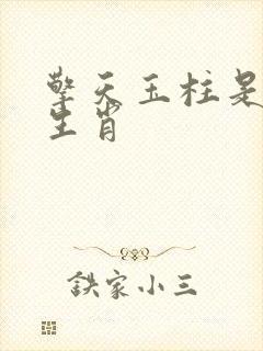 擎天玉柱是什么生肖