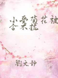 小受菊花被双龙合不拢