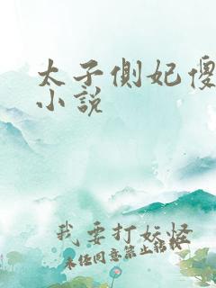 太子侧妃傻乎乎小说