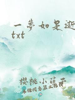 一梦如是逝水长txt