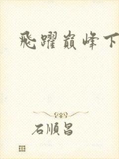 飞跃巅峰下载