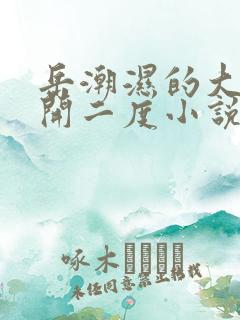 岳潮湿的大肥梅开二度小说