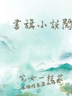 书旗小说阅读网