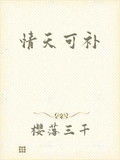 情天可补