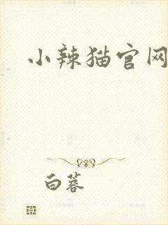 小辣猫官网