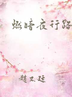 燃暗夜行路