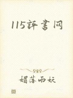 115评书网