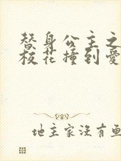 替身公主之杀手校花撞到爱