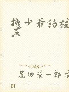 拽少爷的校花女友