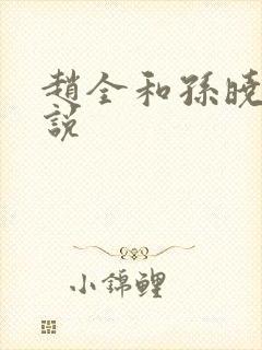 赵全和孙晓云小说