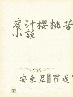 蜜汁樱桃苦咖啡小说