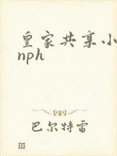 皇家共享小公主nph