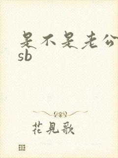 是不是老公的小sb