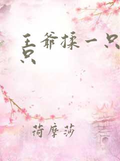 王爷揉一只舔一只