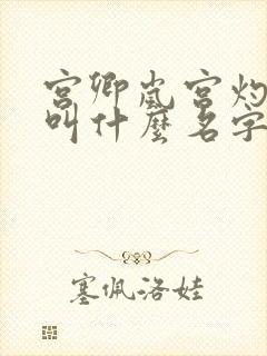 宫卿岚宫灼小说叫什么名字