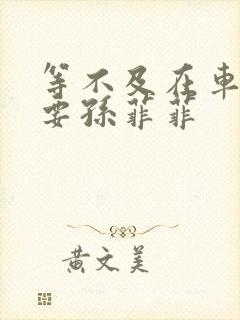 等不及在车里就要孙菲菲