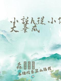 小说h从小做到大养成