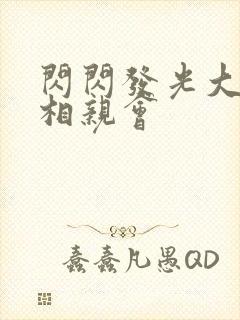 闪闪发光大团圆相亲会