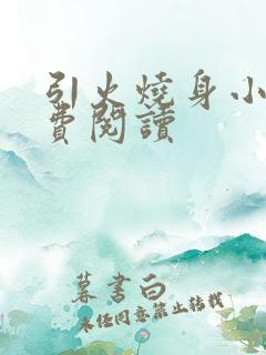 引火烧身小说免费阅读