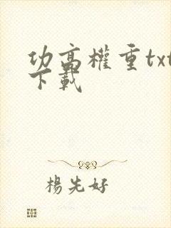 功高权重txt下载