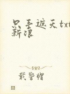 只手遮天txt新浪