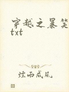 穿越之暴笑王妃txt