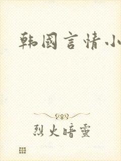 韩国言情小说