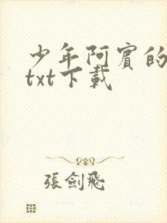 少年阿宾的故事txt下载