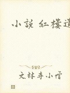 小说 红楼遗秘
