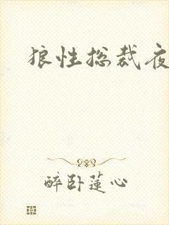 狼性总裁夜欢宠