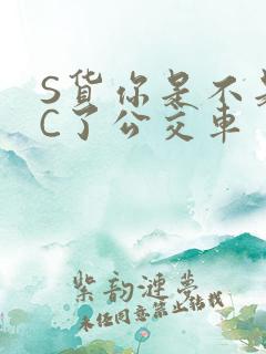 S货你是不是欠C了公交车