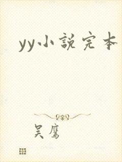 yy小说完本