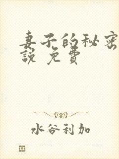 妻子的秘密 小说 免费