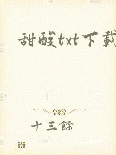 甜酸txt下载