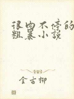 很肉不停的做很粗暴小说